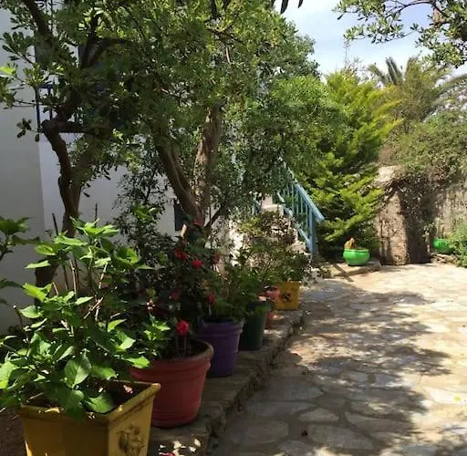 Beautiful, Sunny In Mykonos Town