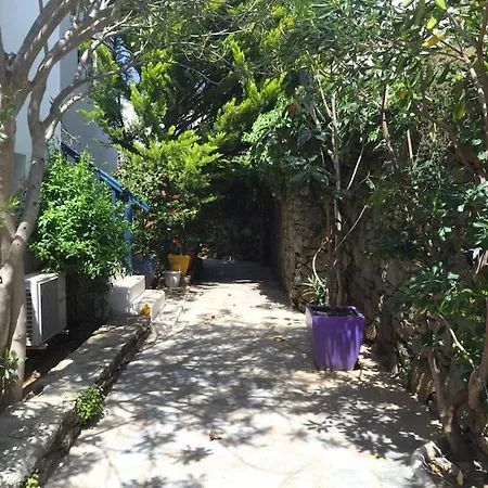 Διαμέρισμα Beautiful, Sunny In *